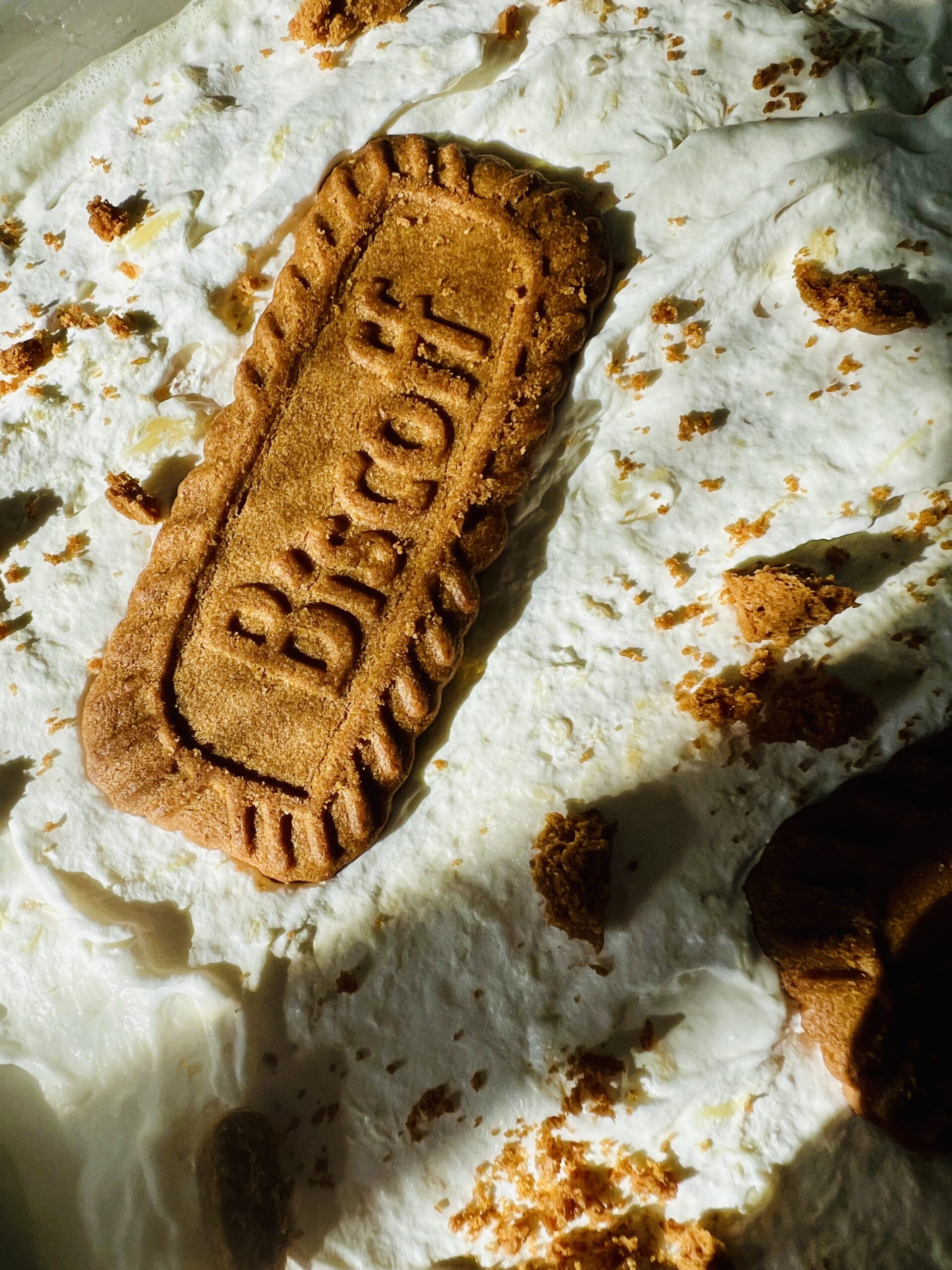 Pineapple Dream: Belgium, Biscoff and a Book